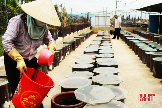 Kinh tế tập thể tạo việc làm cho gần 3.000 lao động Lộc Hà