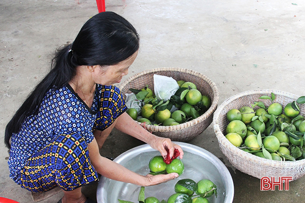 Trang trại “vàng” của cựu binh miền sơn cước Hà Tĩnh