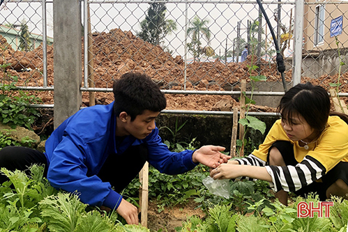 Làm nông nghiệp sinh thái, Làng trẻ em mồ côi Hà Tĩnh tự túc rau sạch cho trẻ